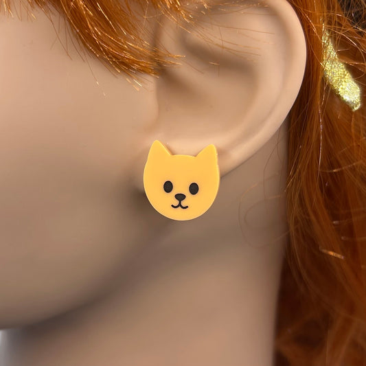 Curious Cat Stud