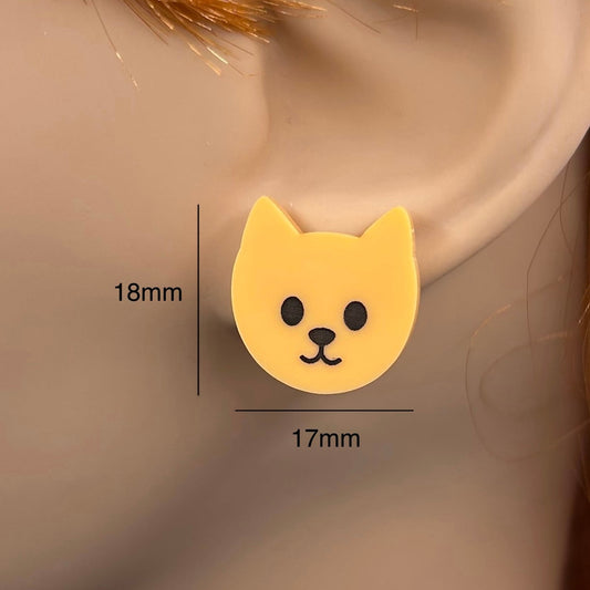 Curious Cat Stud